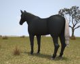 Horse Rocky Mountain Low Poly Modello 3D