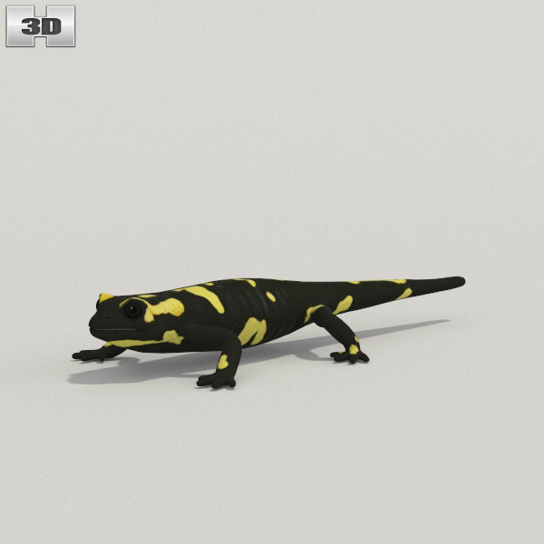 Salamander Low Poly 3D модель