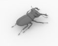 Stag Beetle Low Poly Modello 3D