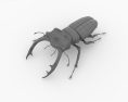 Stag Beetle Low Poly Modèle 3d