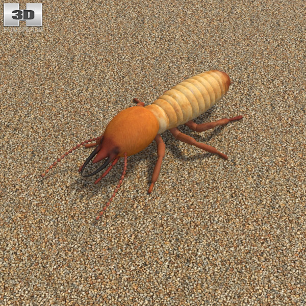 Termite Low Poly 3D-Modell