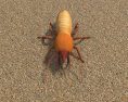 Termite Low Poly Modèle 3d