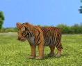 Tiger kitten Low Poly Modelo 3D