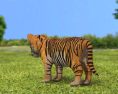 Tiger kitten Low Poly 3d model