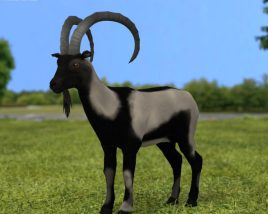 Wild Goat Low Poly Modelo 3d