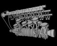 Animated V12 Engine Gasoline Ignition 3D-Modell