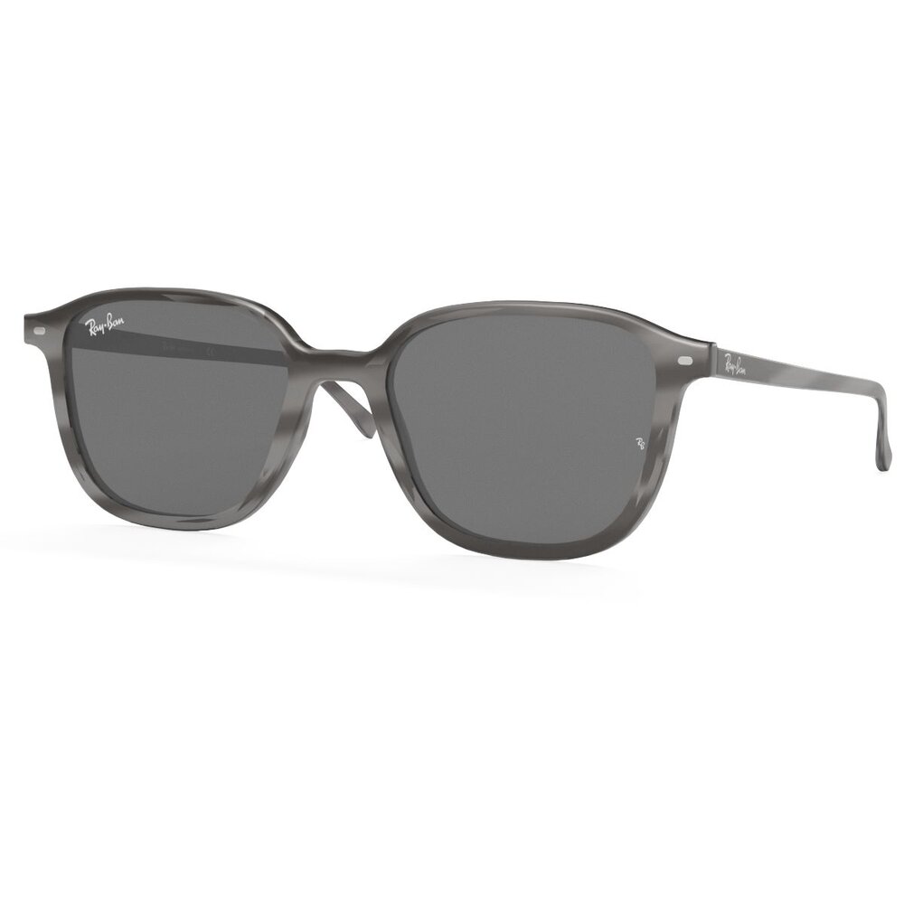 Ray Ban Leonard Non-Polarized Dark Grey Classic Sunglass 3D модель