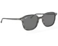 Ray Ban Leonard Non-Polarized Dark Grey Classic Sunglass 3D 모델 