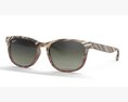 Ray Ban Non-Polarized Striped Gradient Brown Sunglass RB2184 3Dモデル