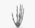 손 뼈 3D 모델 