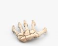 Handknochen 3D-Modell