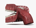 Рот людини 3D модель