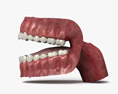 Menschlicher Mund 3D-Modell