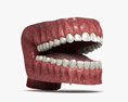 人間の口 3Dモデル