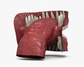 人間の口 3Dモデル
