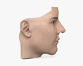 Nez humain Modèle 3d