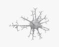 神経細胞 3Dモデル