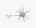 Neurone Modèle 3d