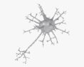 Neurone Modello 3D