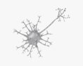 神経細胞 3Dモデル