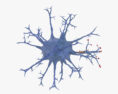 Neurone Modello 3D