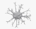 Neurona Modelo 3D