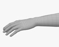 여성의 손 3D 모델 