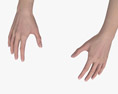 Mãos Femininas Modelo 3d