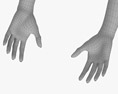 여성의 손 3D 모델 