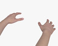 Женские руки 3D модель