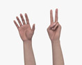 Female Hands Peace Gesture Modello 3D