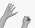 Female Hands Peace Gesture Modello 3D