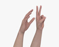 Female Hands Peace Gesture 3d model