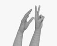 Female Hands Peace Gesture 3D模型
