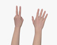 Female Hands Peace Gesture 3Dモデル