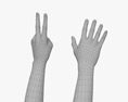 Female Hands Peace Gesture 3D模型