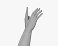 Female Hands Peace Gesture 3Dモデル