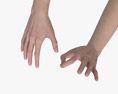 Female Hands Ok Sign Modèle 3d