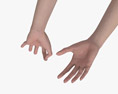Female Hands Ok Sign 3d model