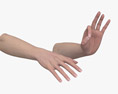 Female Hands Ok Sign Modelo 3D