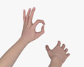 Female Hands Ok Sign Modello 3D