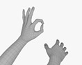 Female Hands Ok Sign 3D 모델 