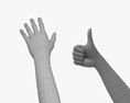 Female Hands Thumbs up 3D模型