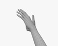 Female Hands Thumbs up 3d model