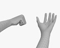 Female Hands Thumbs up 3D 모델 