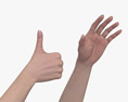 Female Hands Thumbs up 3Dモデル