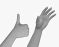 Female Hands Thumbs up 3D-Modell