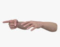 Female Hands Finger Point 3Dモデル