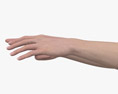Female Hands Finger Point 3d model