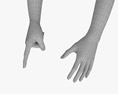 Female Hands Finger Point 3d model